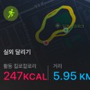 [러닝] 9월 29일 일원에코파크 가을 러닝 후기