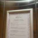 말리비치 | [와이키키숙소]오하나와이키키말리아바이아웃리거 이용후기,내돈내산,와이키키숙소추천