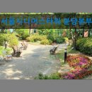 종합문화복지타운 수영장 | 경기도 노인복지센터 실버타운 요양원 정보 추천 서울시니어스타워 분당본부 신뢰받는 실버 주거 문화