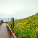홍도청해수산