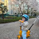 (초등3~6) 컬러로 함께하는 행복한 우리 가족 | 유아킥보드 마이크로 미니 투고, 귀여운 조카선물 어린이날 선물 무조건이지!