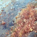 늘솔길민박 이미지