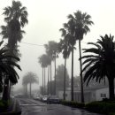 제주하다 이미지