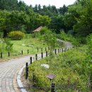 환호해맞이공원 이미지