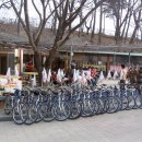 등나무집민박 이미지