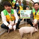 이종철 농장 이미지