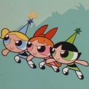 멍블랑 반려견미용실 이미지