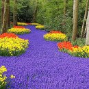 정부.여당의 &#34;지역화폐 지원금&#34;국민에게 毒일까? 得일까? 이미지