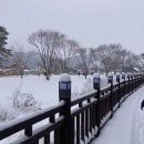 역전모텔 | 충북제천1 의림지 역전시장, 순두부찌개 불고기전골