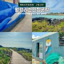 제주 월령리 선인장군락 | 제주도 바다 산책 제주월령리선인장군락 선인장마을 군락지 제주 올레길