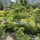 성주공인중개사사무소 이미지