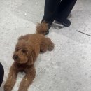 지에스25 뉴잠실희망점 | 2026년 첫 달모저모 - 1월 편(feat. 12월 편)