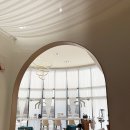 이나스헤어 | 일산 1인 미용실 추천 나스헤어 진욱쌤 하오니코 클리닉 후기