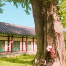 자현당 이미지