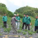 신철우 농가 이미지