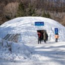 강원도 태백시 당골 광장(눈(雪)축제장) 이미지