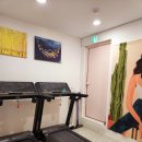 요가소도구필라테스B 이미지