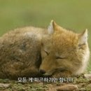오뎅정종 이미지