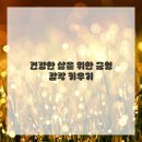 지혜병원 이미지