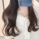 식물;마지 이미지