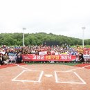 고성군 야구장 이미지