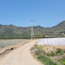 신창길2 이미지