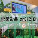 세븐일레븐 언양그린파크점 | 제주 아이가 직접 하기 좋은 체험 실내테마파크, 박물관은 살아있다 제주, 런닝맨 제주점, 감귤카트