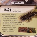 꽁이 - 동구 해동로 21 | 꽁이