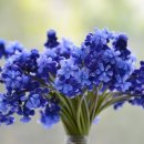 2013-주036 | &lt;서혜정 낭독 연구소&gt; 북나레이터 기초과정 두번째 수업후기_(송정희 성우님)