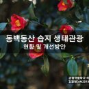 동백동산 이미지