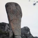 초미사슴 이미지