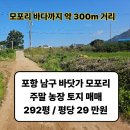 오포리농장 네이버블로그