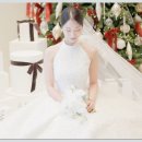 가성비 본식DVD 추천 스튜디오다믐 계약한 후기