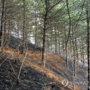 모곡인력