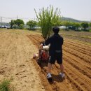동천안농협 경제통합지원센터 이미지