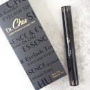 래쉬티비 이미지