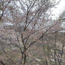 파래소 빨간지붕 이미지