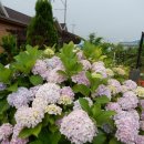 바우네 민박 | [2박3일 가족여행] 조식이 최고인 민박집 추천! 제주도 &#39;바우네민박&#39;