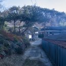 어연 함안이씨 어변갑묘 이미지