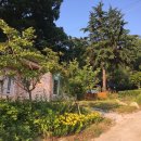 랑랑가 | 전주한옥마을숙박추천으로 베리베리 굿!!