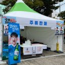 오대양복어 | 2024년 구미 푸드 페스티벌 솔직 후기