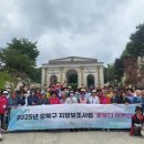 허브향 이미지