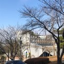 대경대학본관식당 | 대경대학교 동물사육복지과 입학 후기