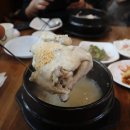 금산-68 | 금산여행 금정이삼계탕 월영산 출렁다리