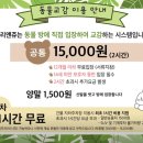 마리앤쥬 이미지