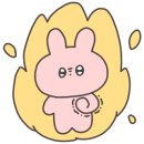 프룻퐁당 이미지