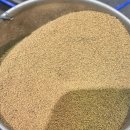 영카센타 이미지