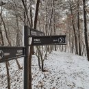 세종동_전월산 무궁화 테마공원 | 전월산 겨울 산행 : 덕성서원-전월산갈림길-무궁화테마공원-전월산-임난수은행나무-느티나무공원...