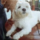 당리동-5 이미지