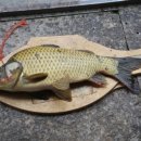 지곡낚시터 이미지